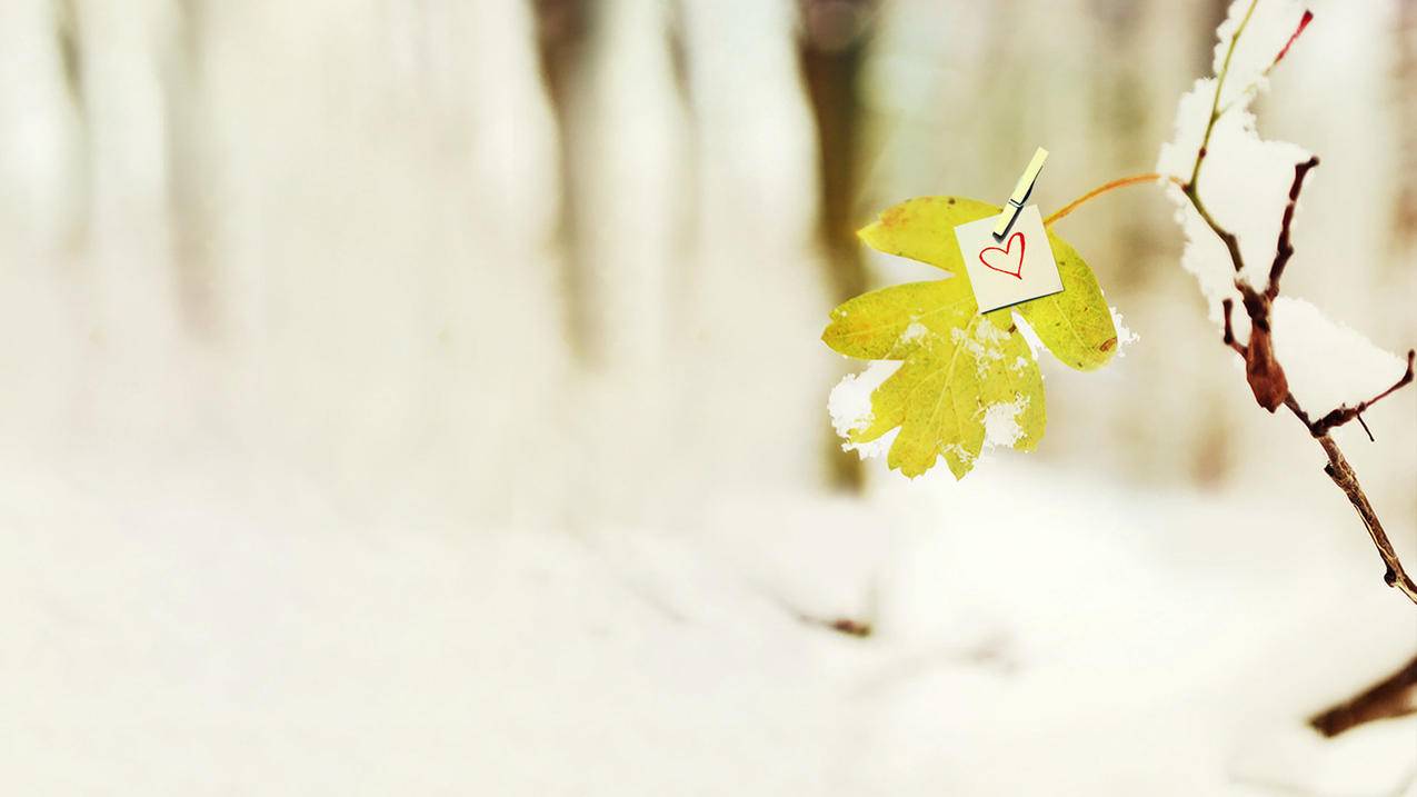 拼多多免费自动刷刀软件 - 快手刷赞平台2,抖音最便宜刷赞网址