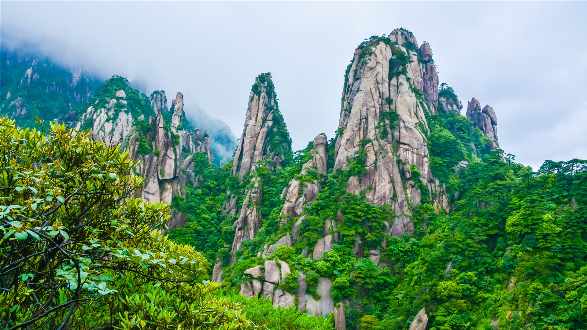 QQ名片赞代刷平台-