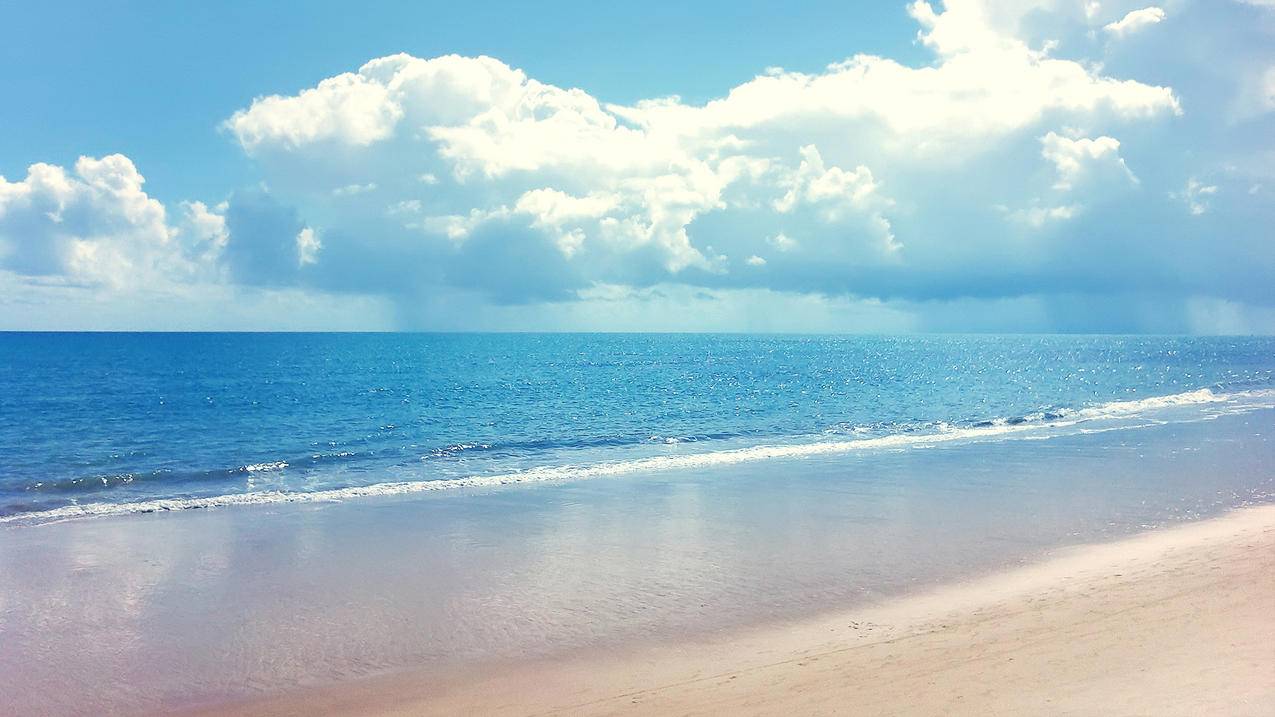 24小时快手业务自助