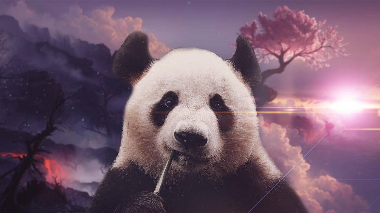qq个性标签赞自助下单-免费刷空间说说赞,QQ刷赞自助下单代刷商城,快手涨粉网站付费
