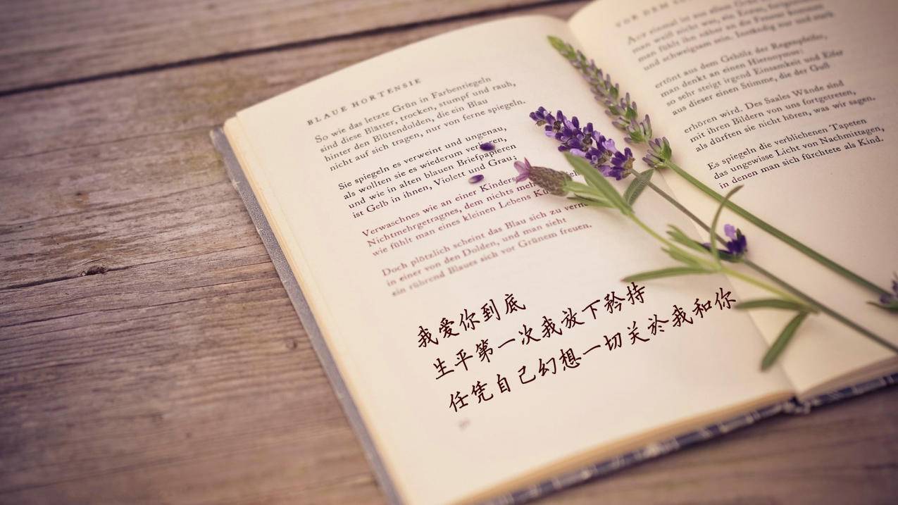 极速刷代网 - 在线