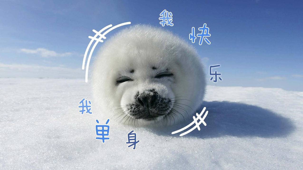晨曦云,1213王者荣耀刷金币,哔哩哔哩刷关注网站,残雪代刷网址抖音