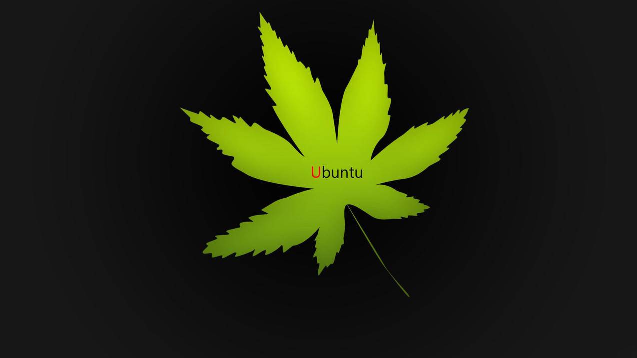 南荷代网刷-快手业务