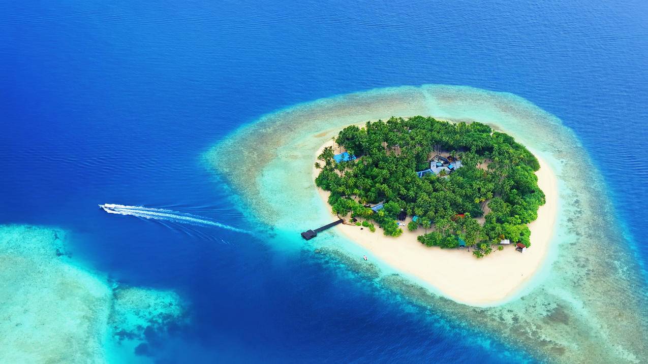 免费领取QQ空间访客