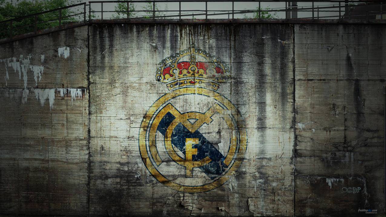 快手刷助力软,乘风破浪下一句接什么代刷qq名片赞网
