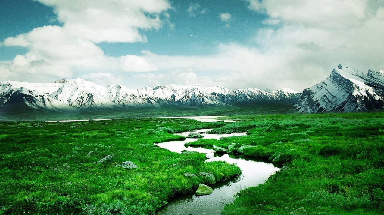 绝地求生卡盟 - 球