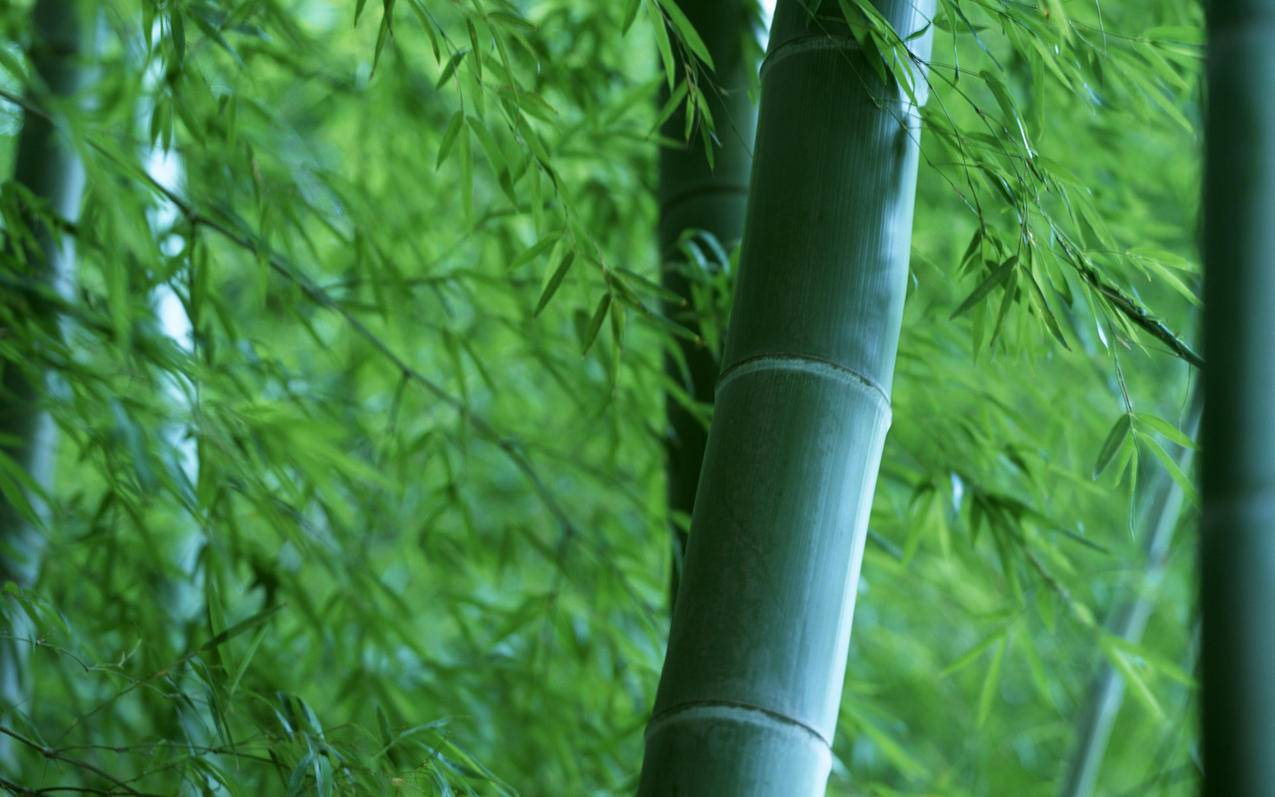 微博刷步数,一元一万qq名片赞网站,快手刷播放双击在线网址,QQ代刷网在线领取5000名片赞