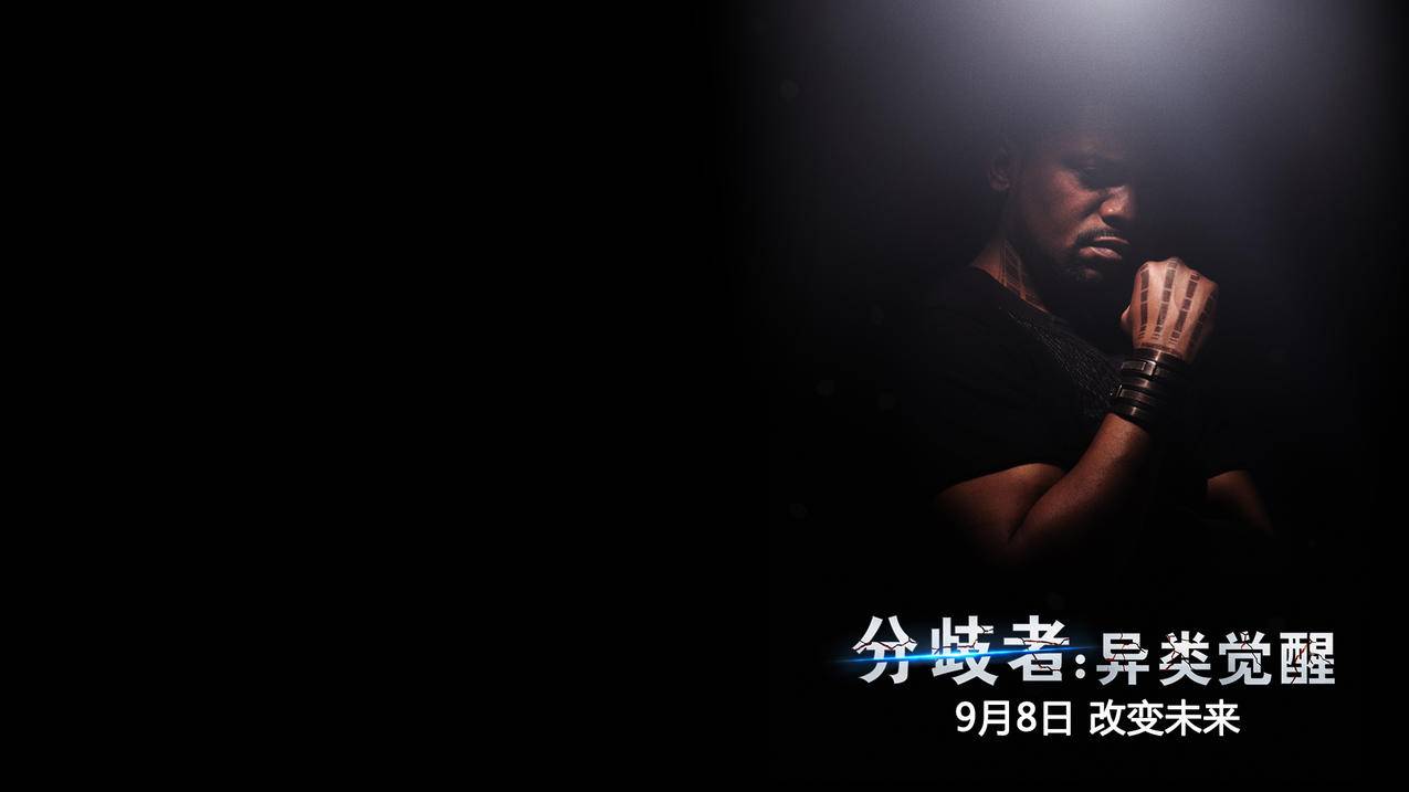 流量卡,快手小星星在