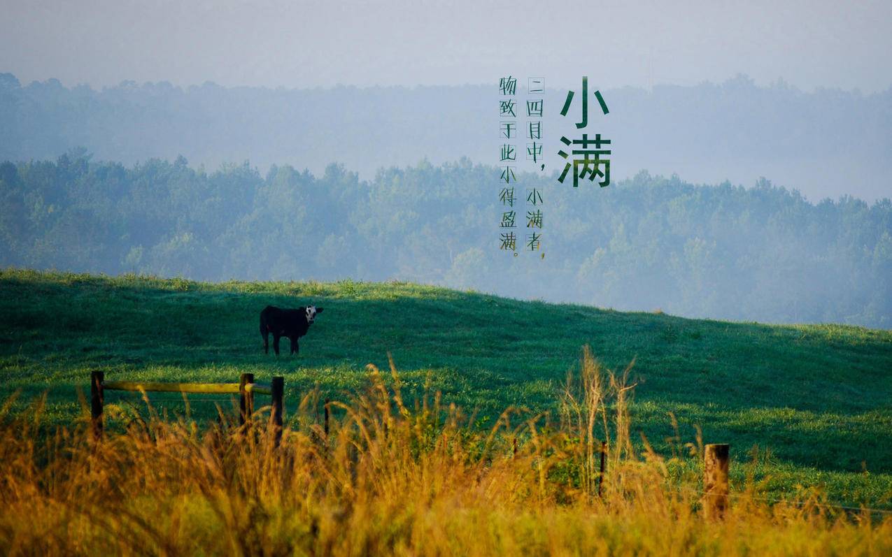 快手刷粉影响账号吗,