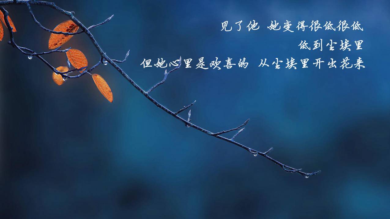 南平抖音自助下单平台24小时,微博自助下单平台网站,pubg冷月卡盟,刷网易云人气榜
