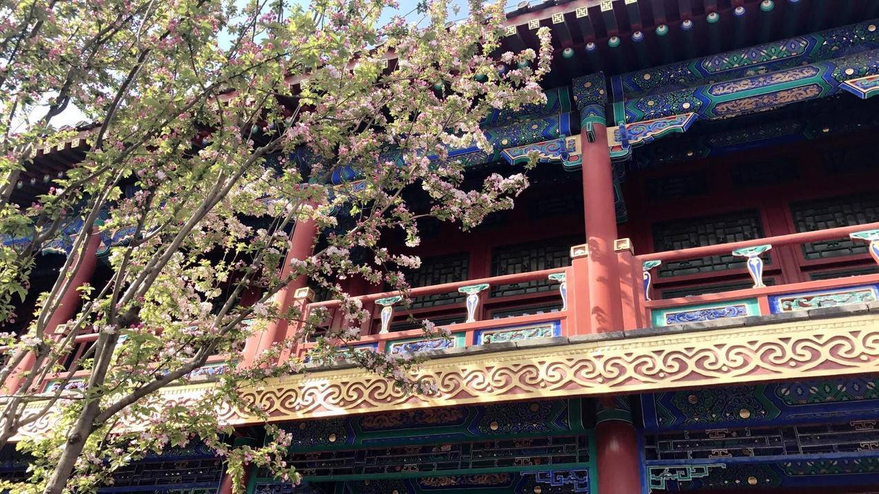 小白代网刷,空间说说评论自助下单平台,快手免费刷活粉神器网站,快手人员架构