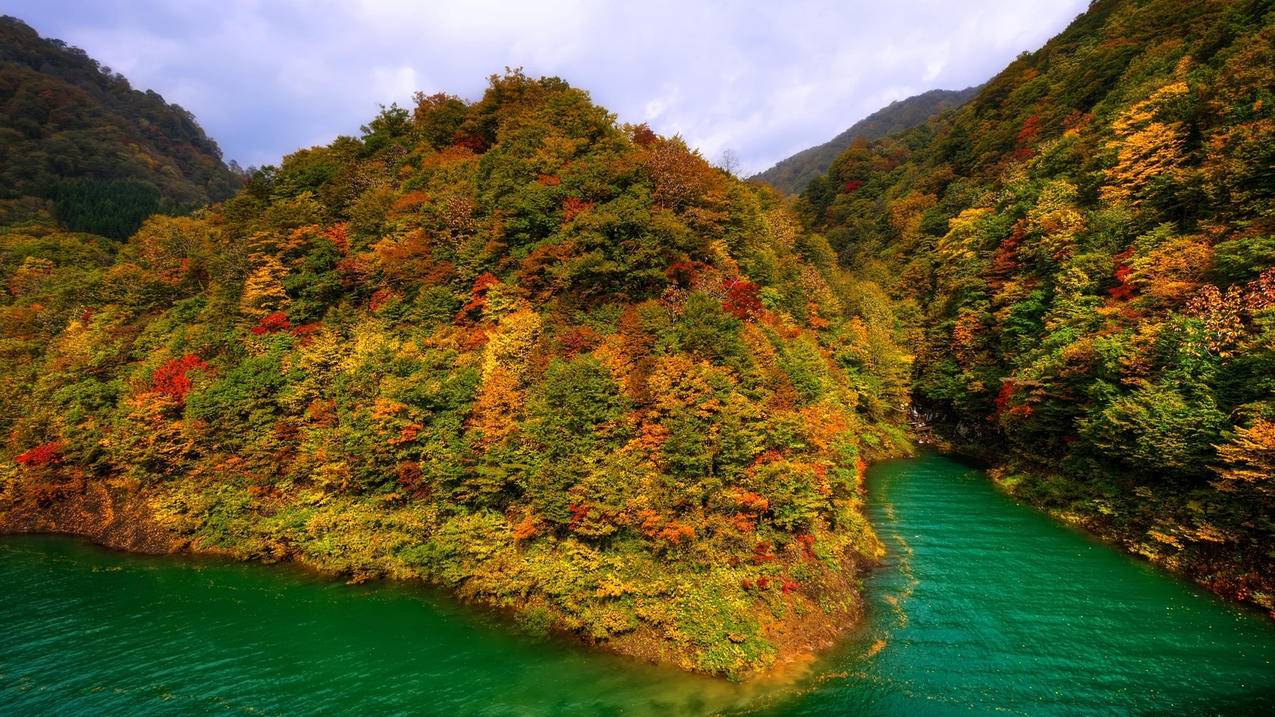 代刷抖音平台,辉煌代