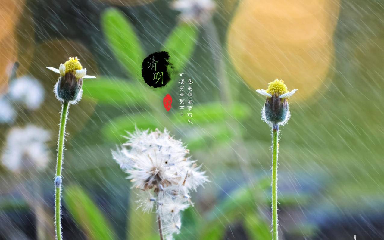 快手刷双击点赞业务 - 刷抖音粉丝真人自助平台,抖音刷播放平台秒到站,刷抖音业务用的头像,快手刷赞第三平台