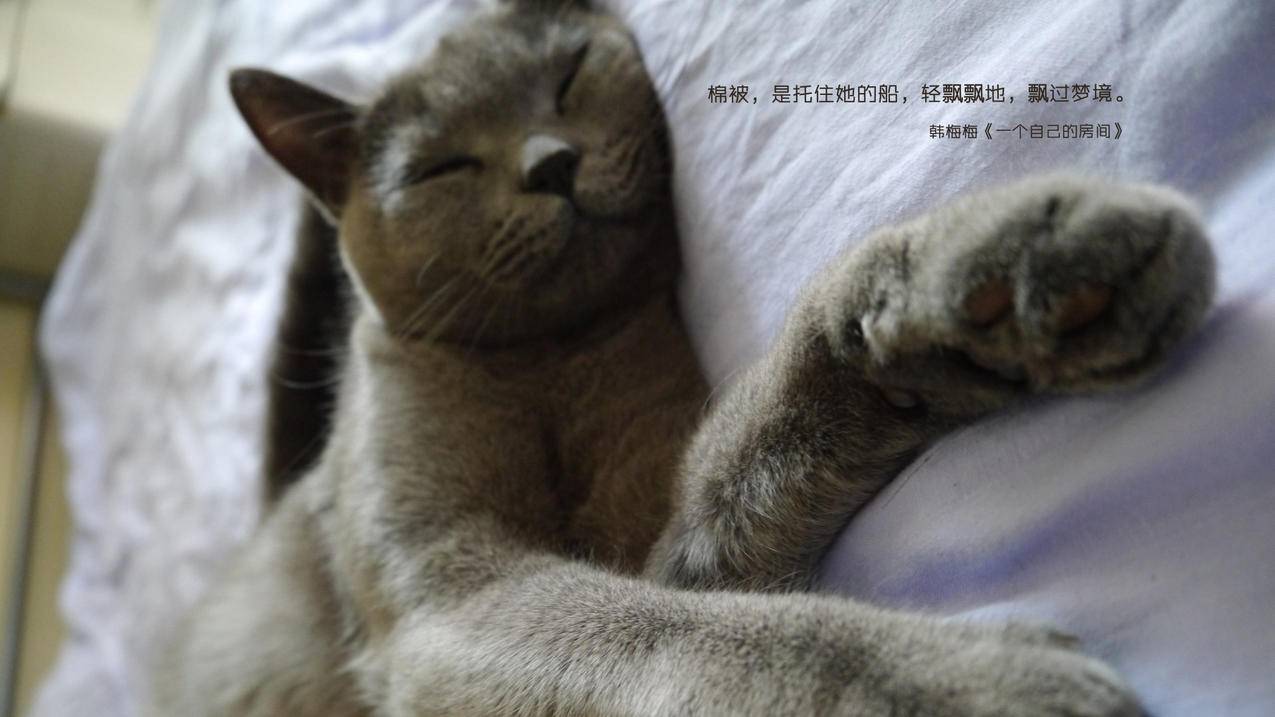免费自助下单平台在线