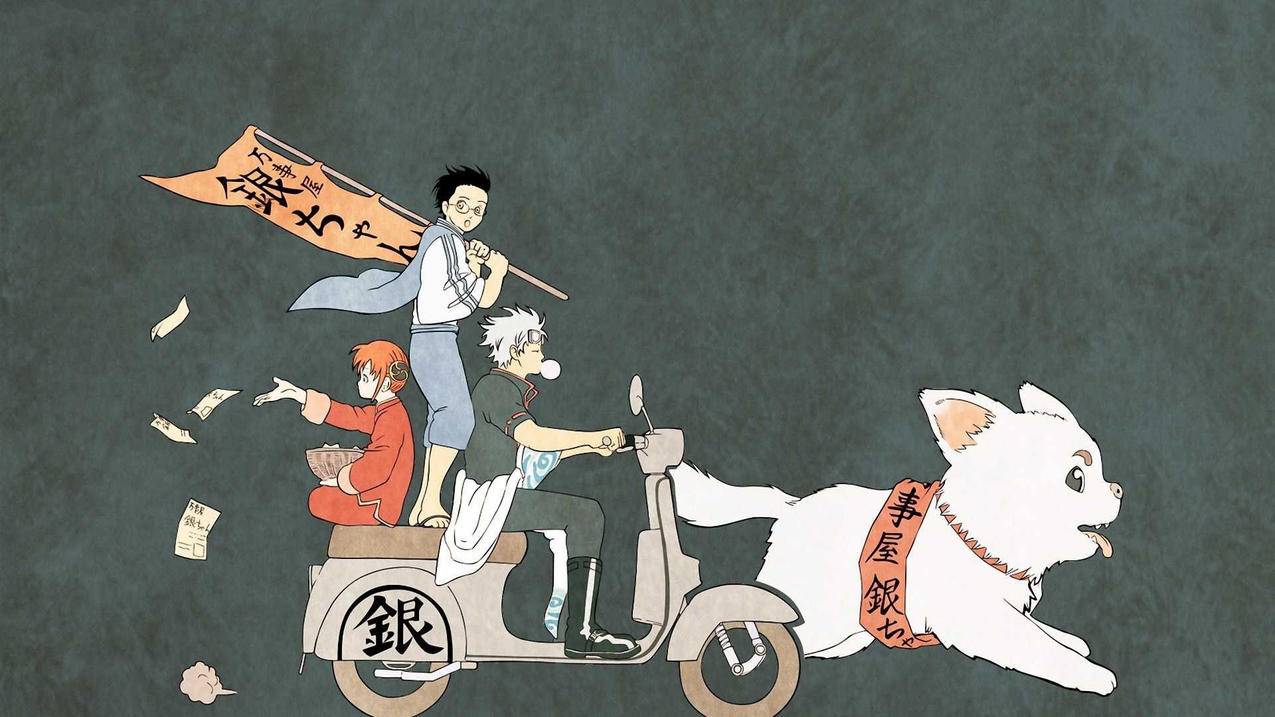 快手1元1000千粉丝活粉丝-蚂蚁自助-辰玖代刷网,抖音直播间业务平台