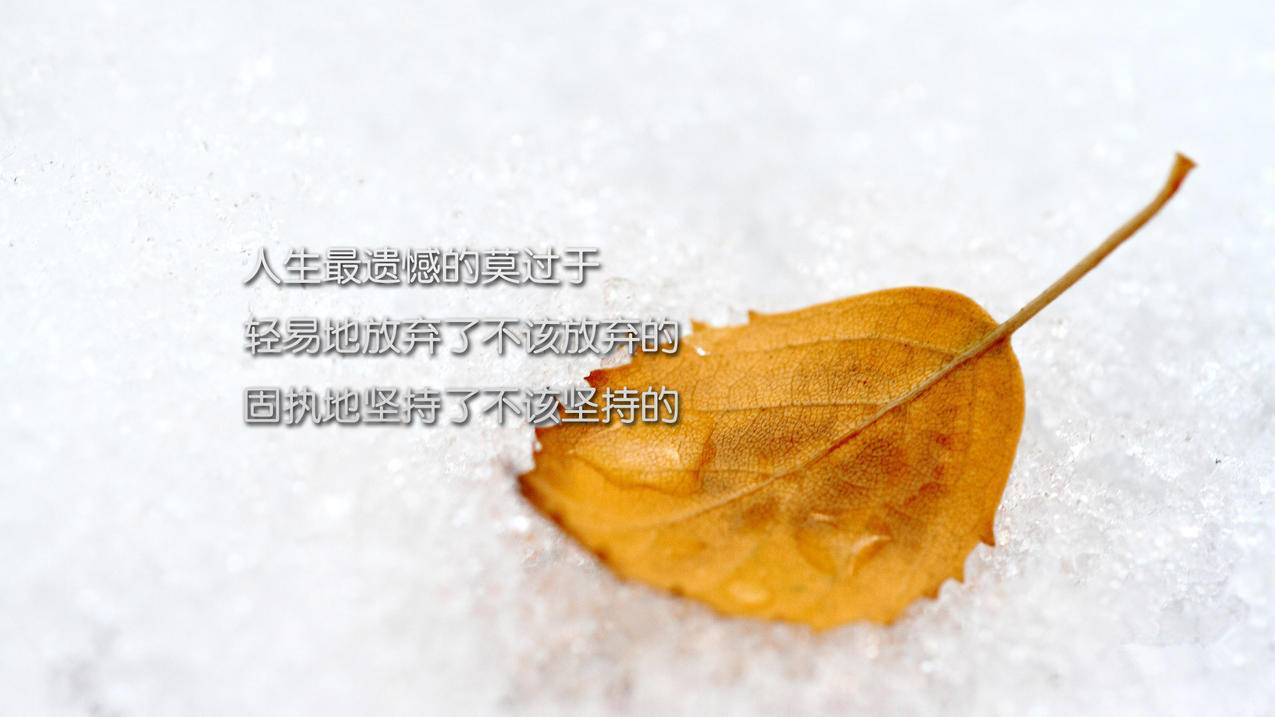 豪华绿钻代刷推广,QQ刷赞免费代网刷,刷赞网站推广全网,快手业务区