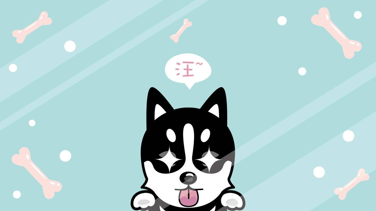 诚信代刷-B站刷人气