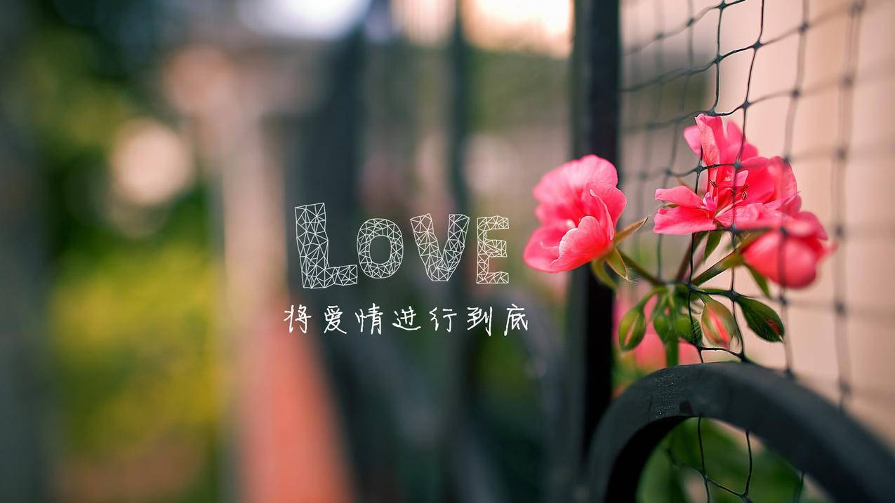 快手刷播放双击24小时在线手机版 - 刷赞平台推广网站便宜tt,QQ便宜刷点赞,蚂蚁带刷平台,810自动发卡平台