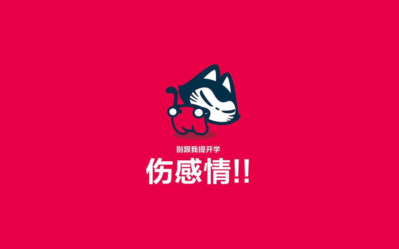 全网最便宜球球业务平