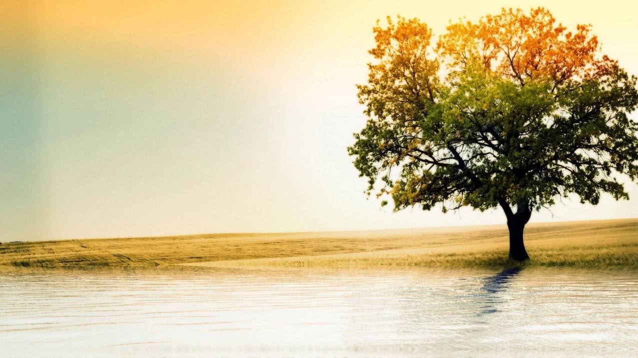 空间互赞免费网站,QQ空间业务自助下单平台