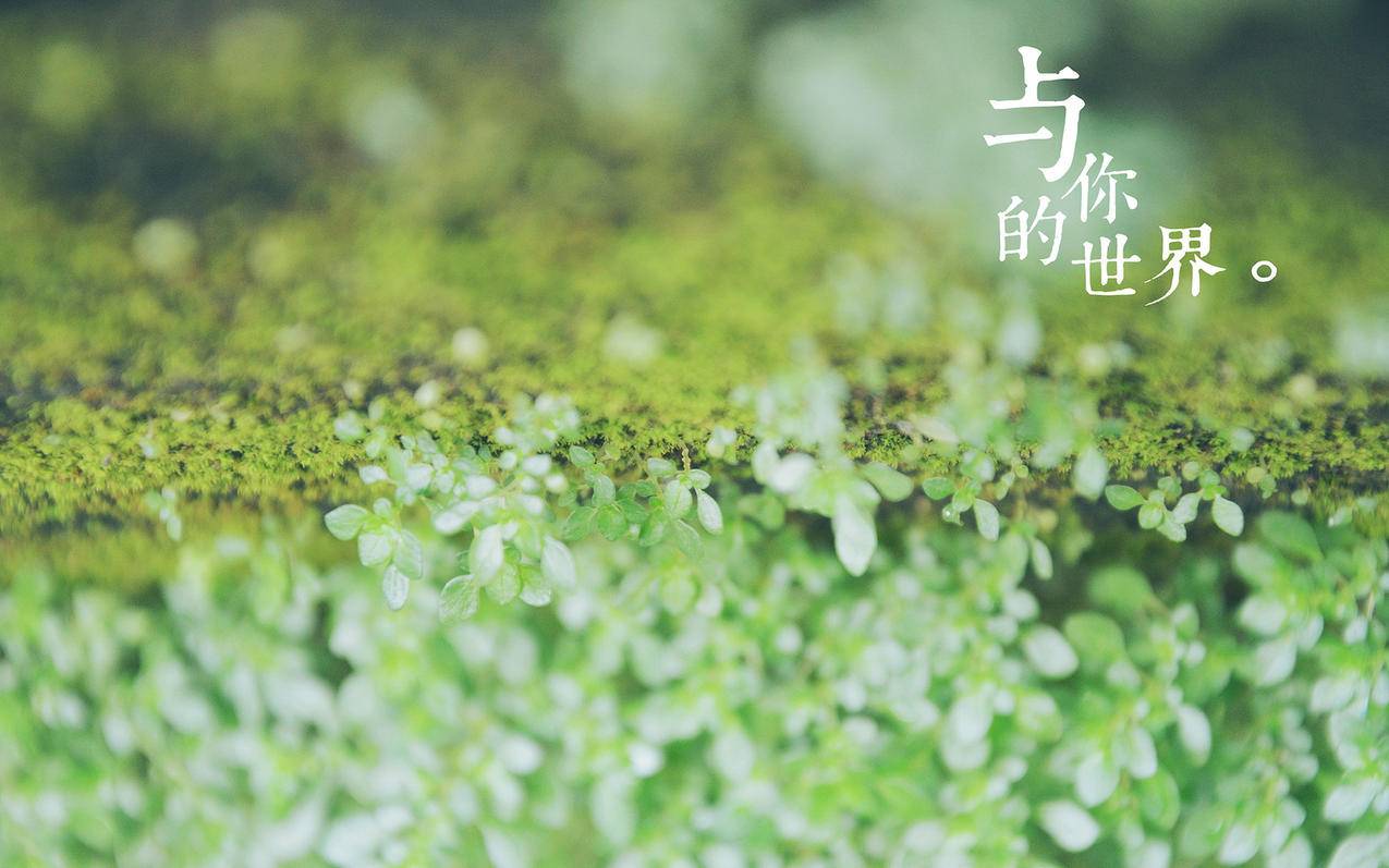 有效-小七快手刷双击0.01元100个双击-快手免费刷关注