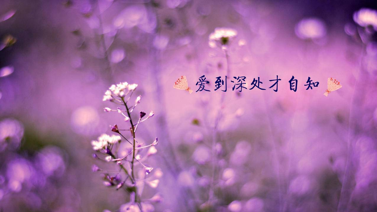 快手死粉低价秒刷业务网站微信-空间说说浏览量网站,快手刷人气网站免费,快手快手刷赞网站ks卡盟刷业务平台全网最低