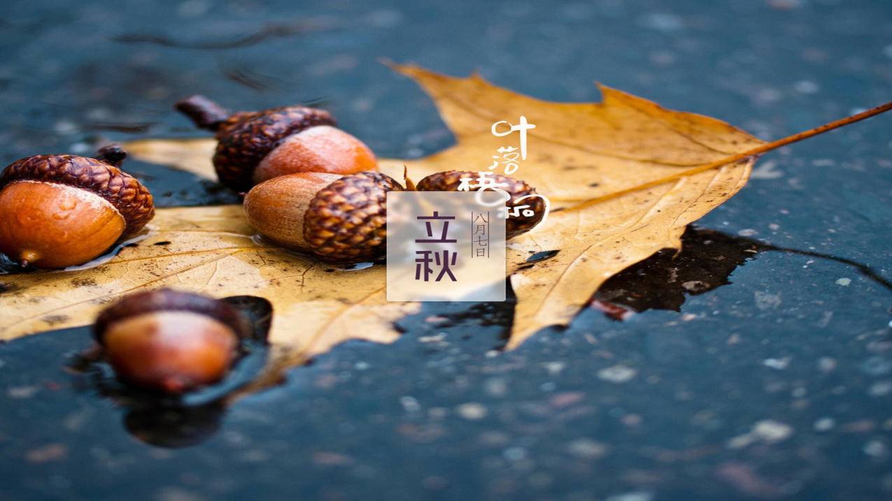快手快手刷赞网站平台
