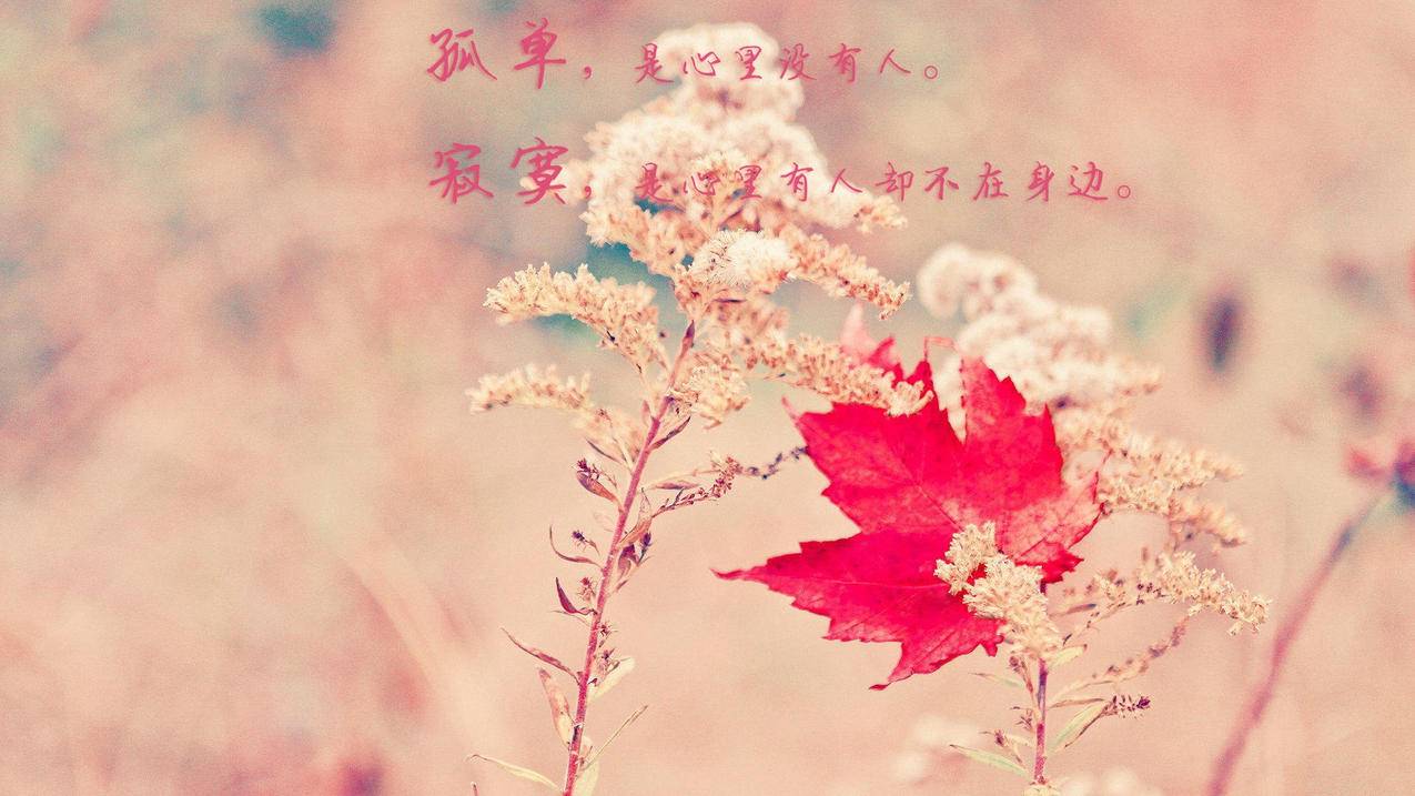 涨粉网站-业务代刷网-低价在线刷qq名片赞网站