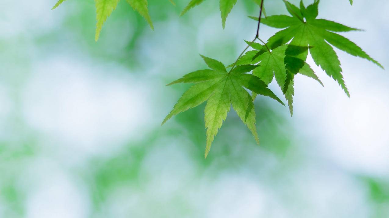 刷点赞卡盟平台-QQ刷赞网址,快手刷50个双击平台,24小时自助刷业务网