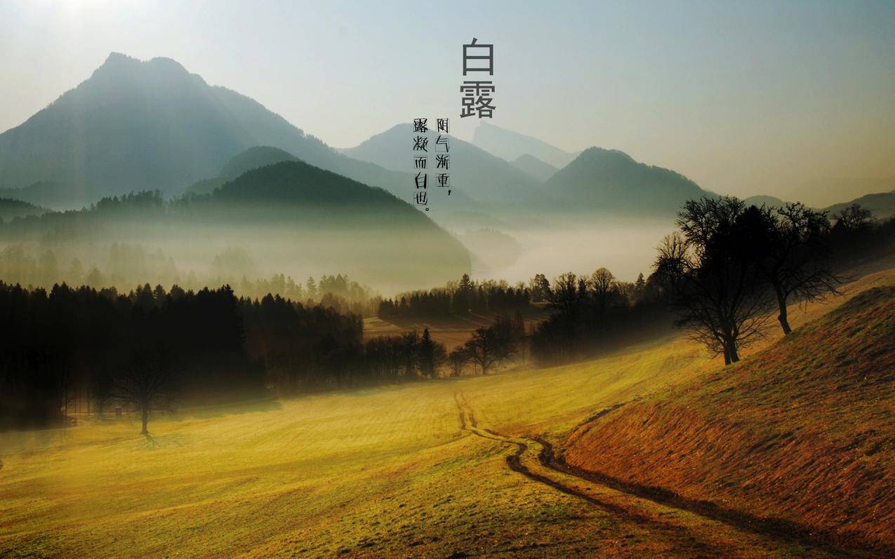 诵读帮代刷人气 - 