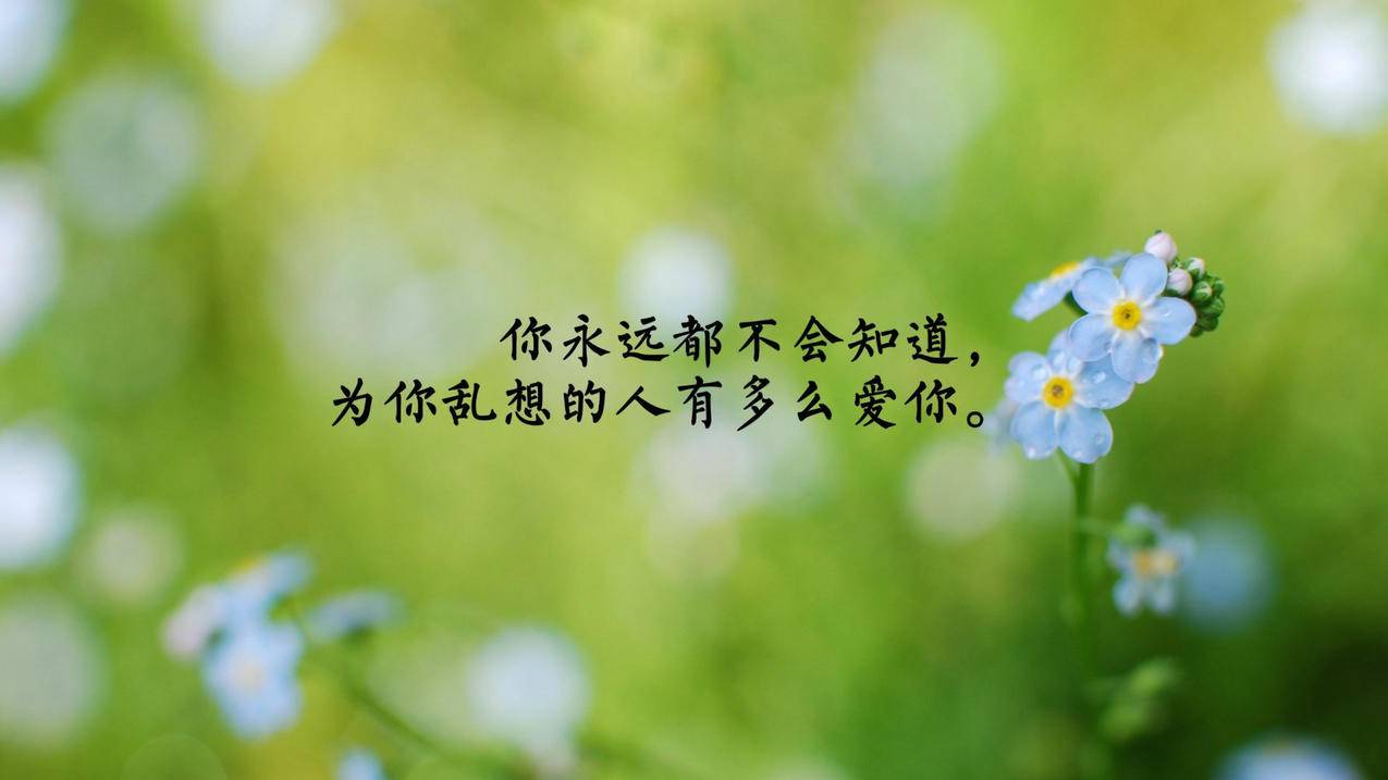 卡盟自助下单-游拍刷关注-快手粉丝业务空间