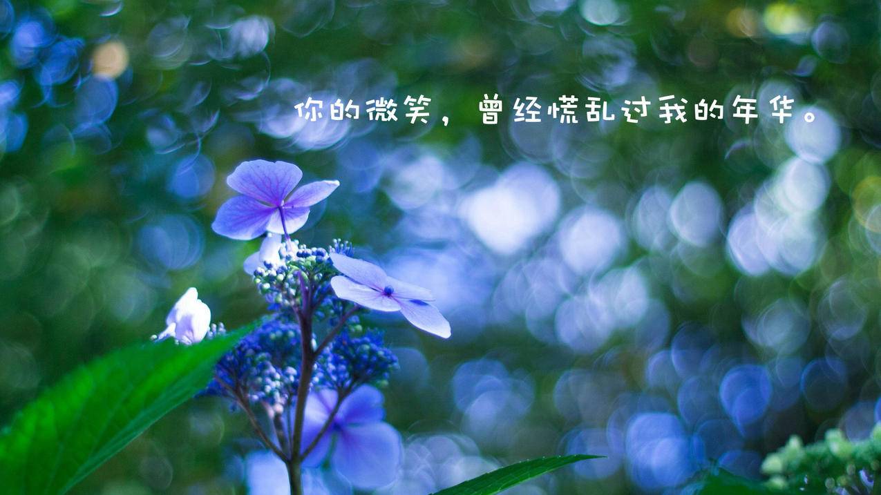便宜的抖音刷赞网站抢