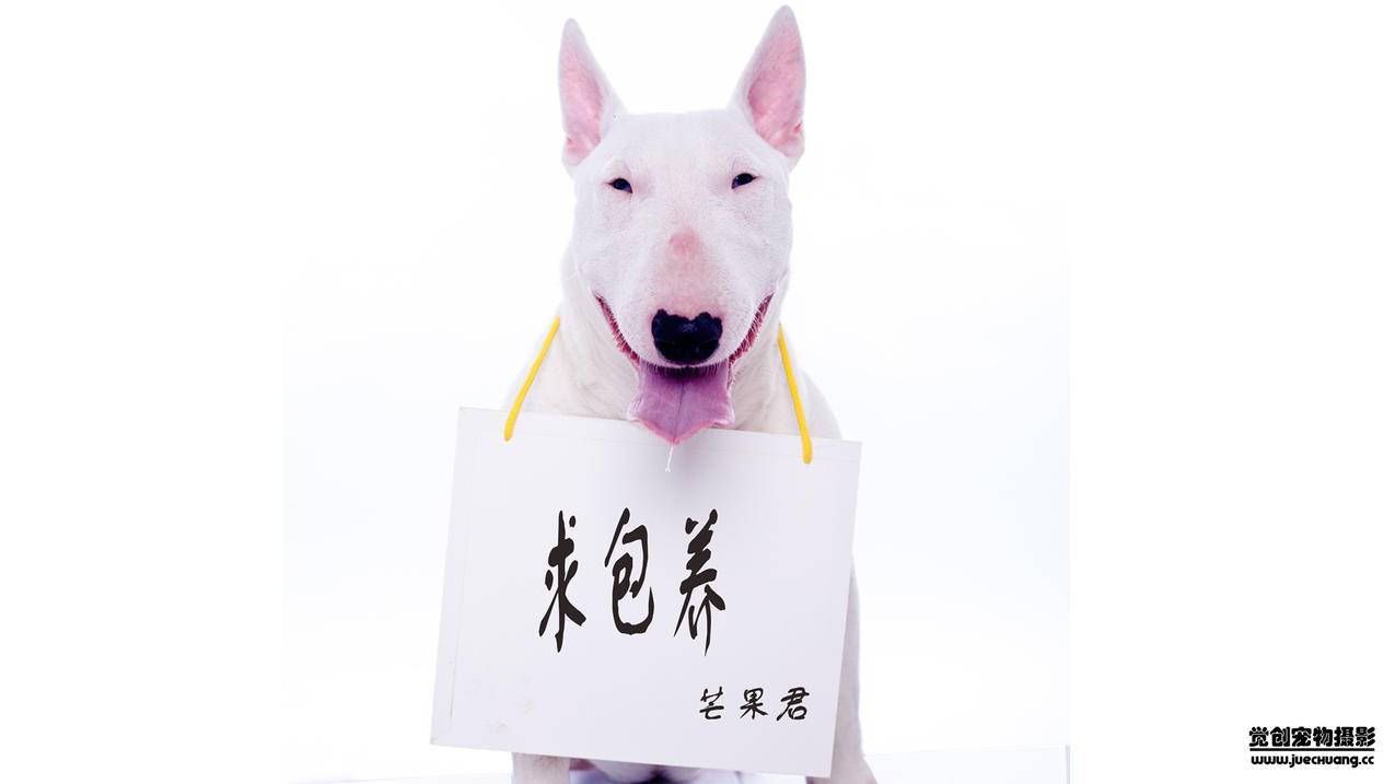 全民k歌刷粉-qq刷赞网址辉煌-王者荣耀刷人气平台苹果