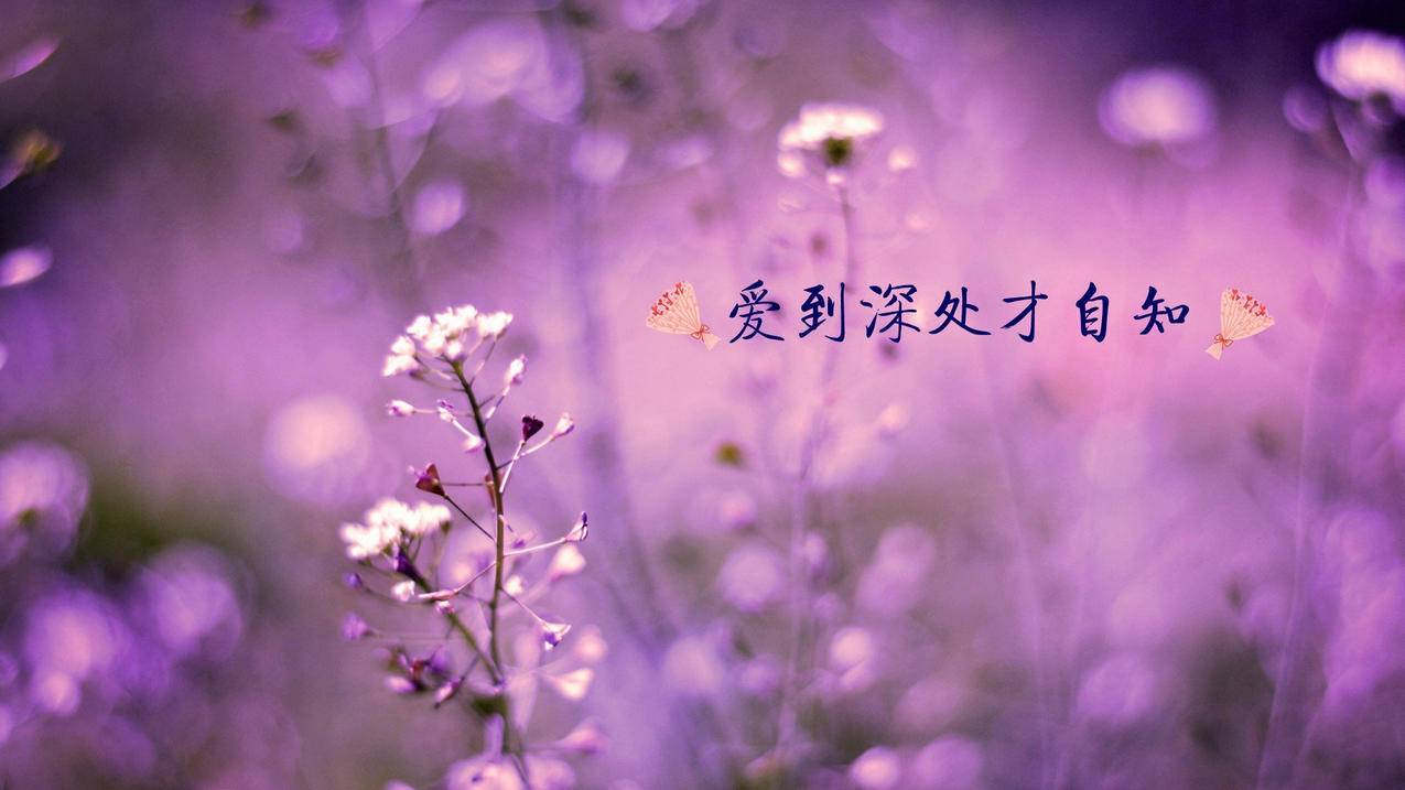 刷赞平台微信支付-每天免费1000赞代刷网,抖音业务代刷网