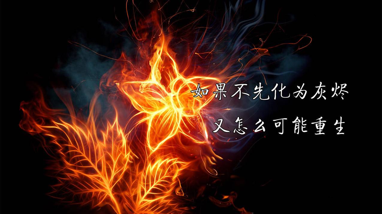 一块钱买1000粉丝-抖音自助下单平台业务秒刷网-买qq点赞