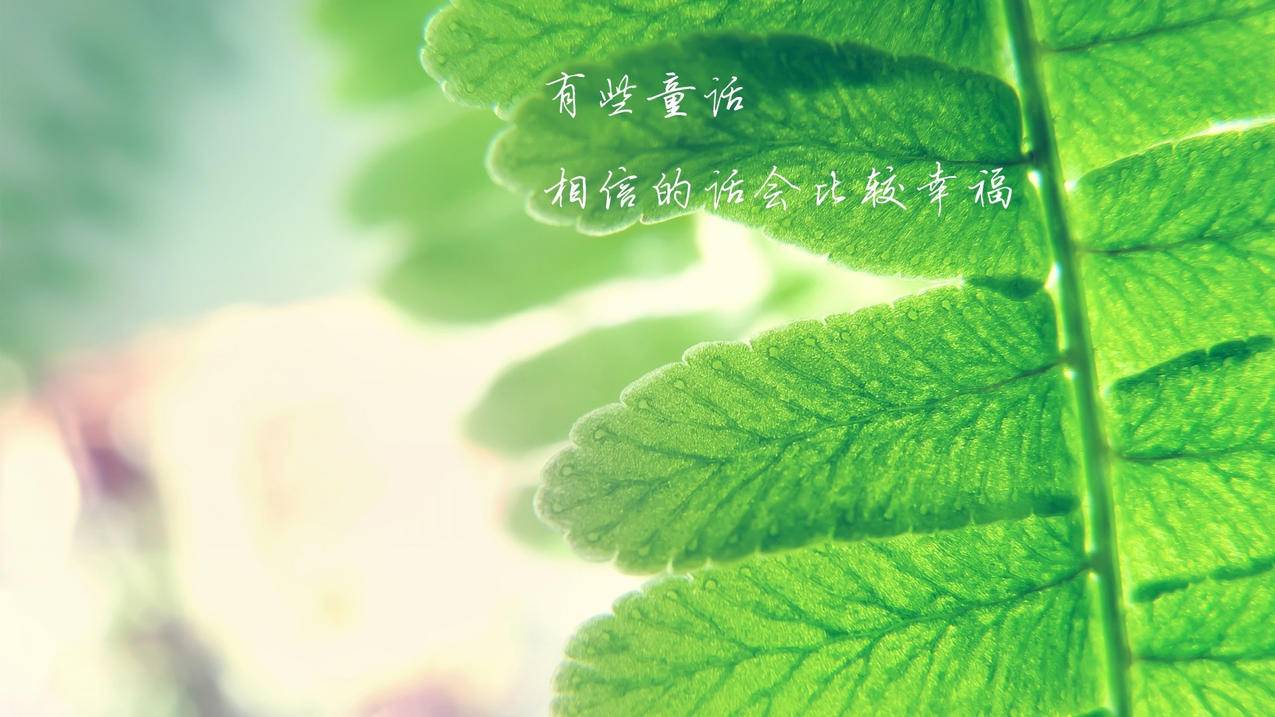 快手粉丝平台 永不掉粉 - 快手点赞置顶网址 localhost,快手刷赞便宜在线刷