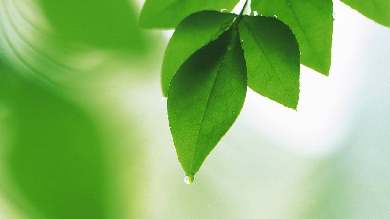抖音刷赞便宜100赞-自助刷访客下单平台,唱吧自动刷人气软件,ks业务自助下单平台在线快速
