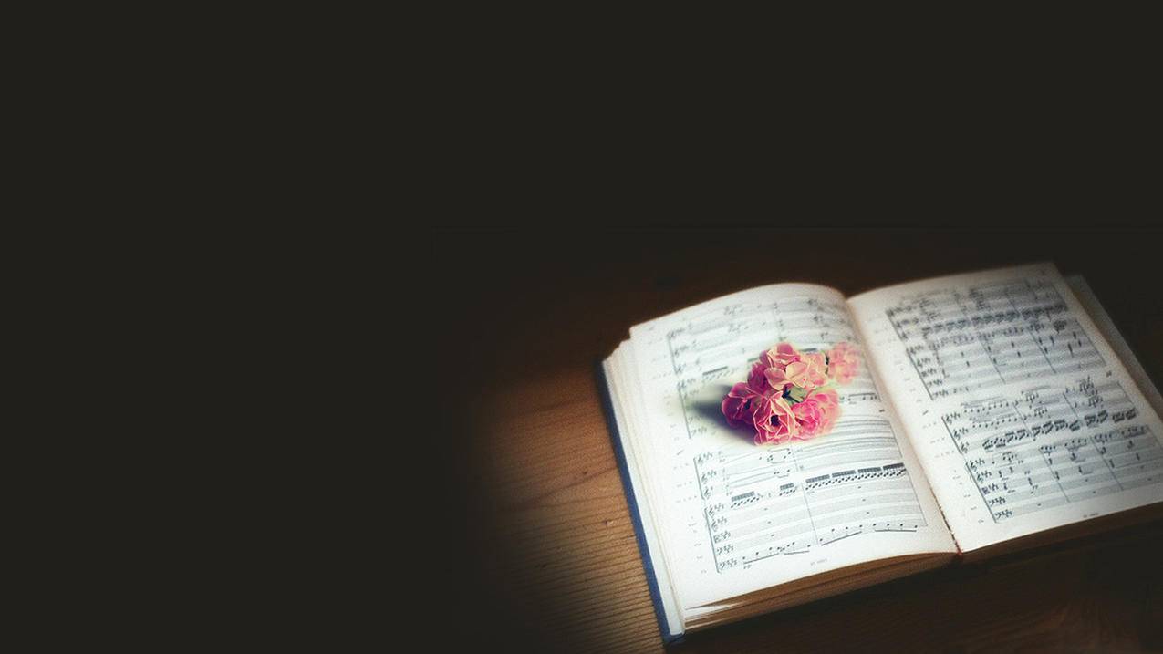 快手免费刷双击应用 