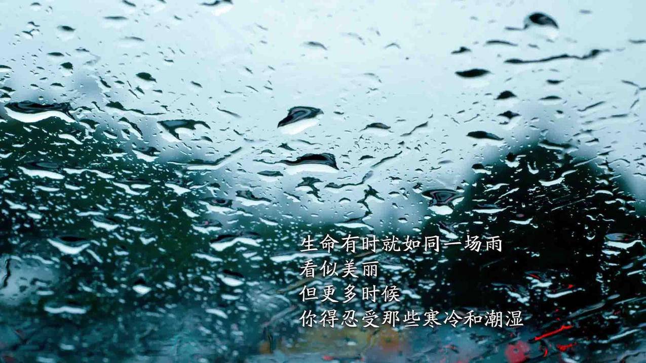 免费领取500名片赞