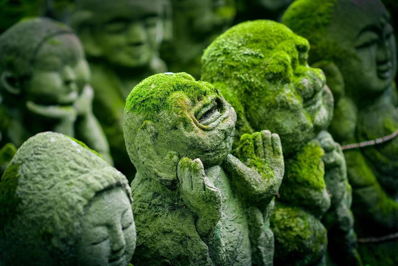 刷快手粉丝网站便宜,qq空间人气