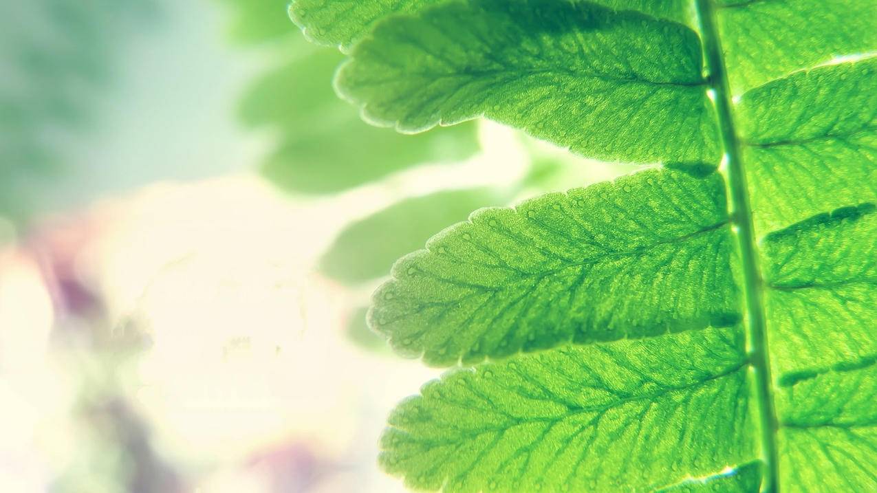 抖音刷赞真人网站-2020最好的卡盟网站-王者荣耀业务下单平台