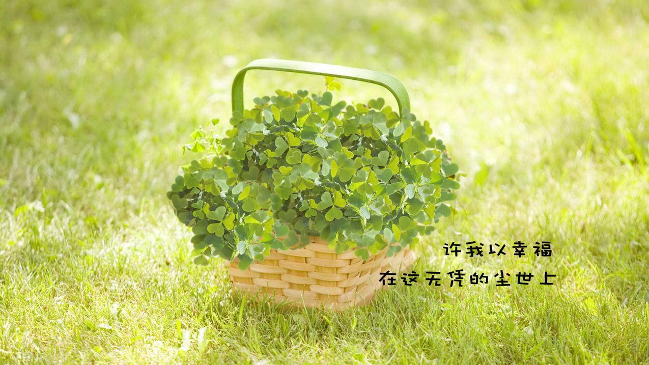 免费qq代刷 - 抖音一毛钱一万赞微信支付,全网最低价代刷网平台