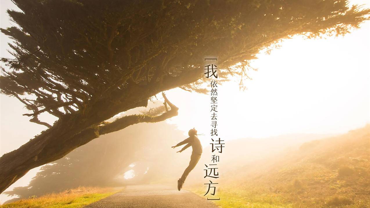 刷赞快手业务低价-淘