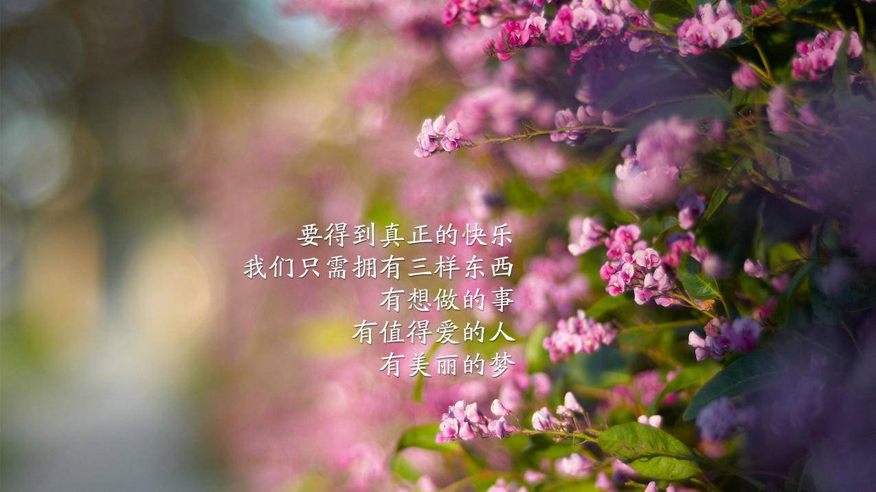 代网刷微博业务网-快手代网站刷10个点赞,抖音免费刷浏览量网站,买粉丝的软件