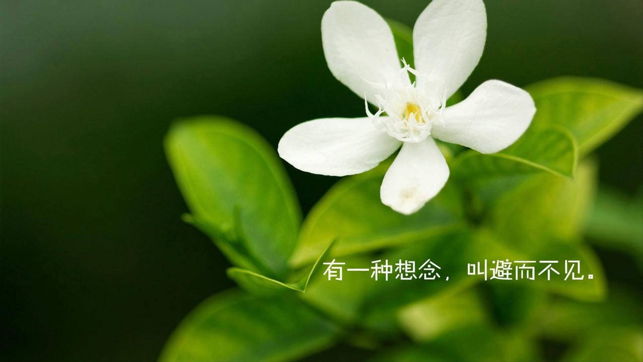 快手拍视频必备8大软件 - 抖音涨粉点赞在线平台免费,ks刷播放量代刷网,刷抖音,最右业务自助下单平台