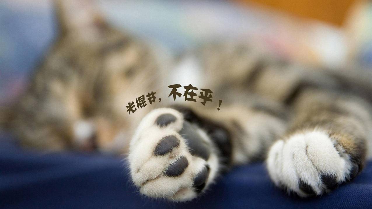 快手直播刷在线人数-