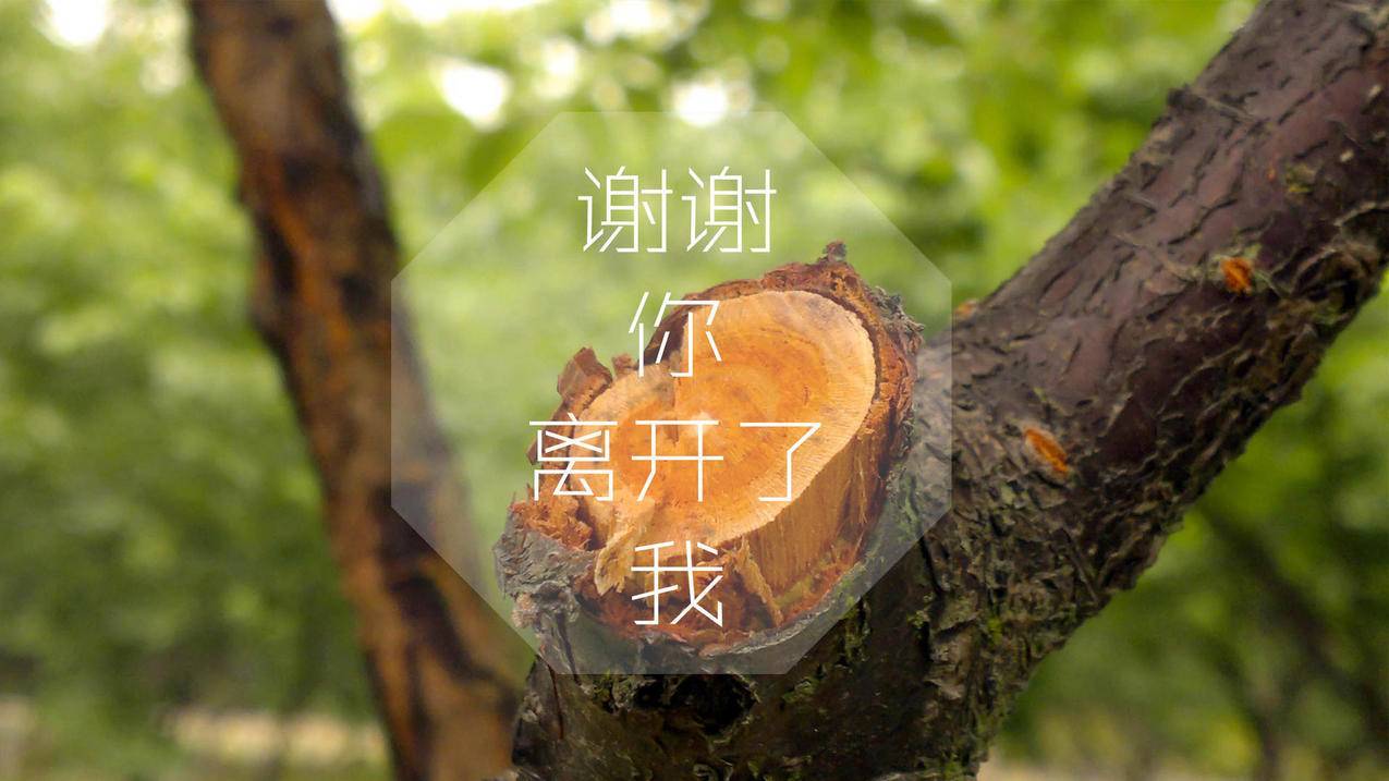 qq空间说说刷赞免费版 - 刷赞平台全网最低价啊qq快手,快手点赞在线自助平台机领,快手免费领1000浏览,快手刷粉丝软件免费