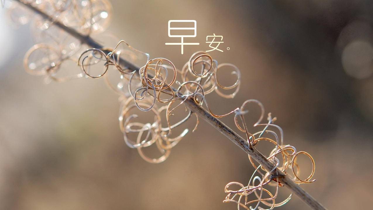 买快手号1w粉多少钱