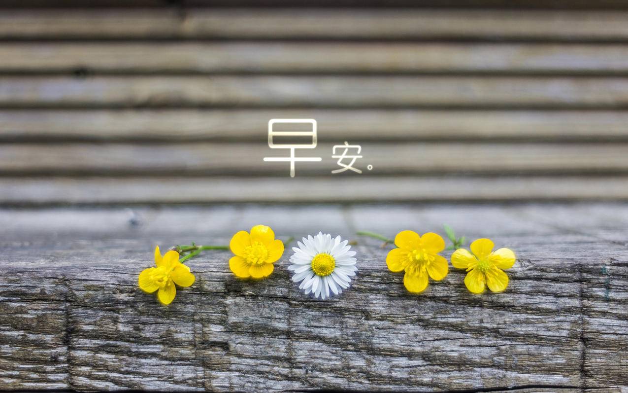qq刷会员 - qq空间说说浏览量平台,快手买赞自助下单平台