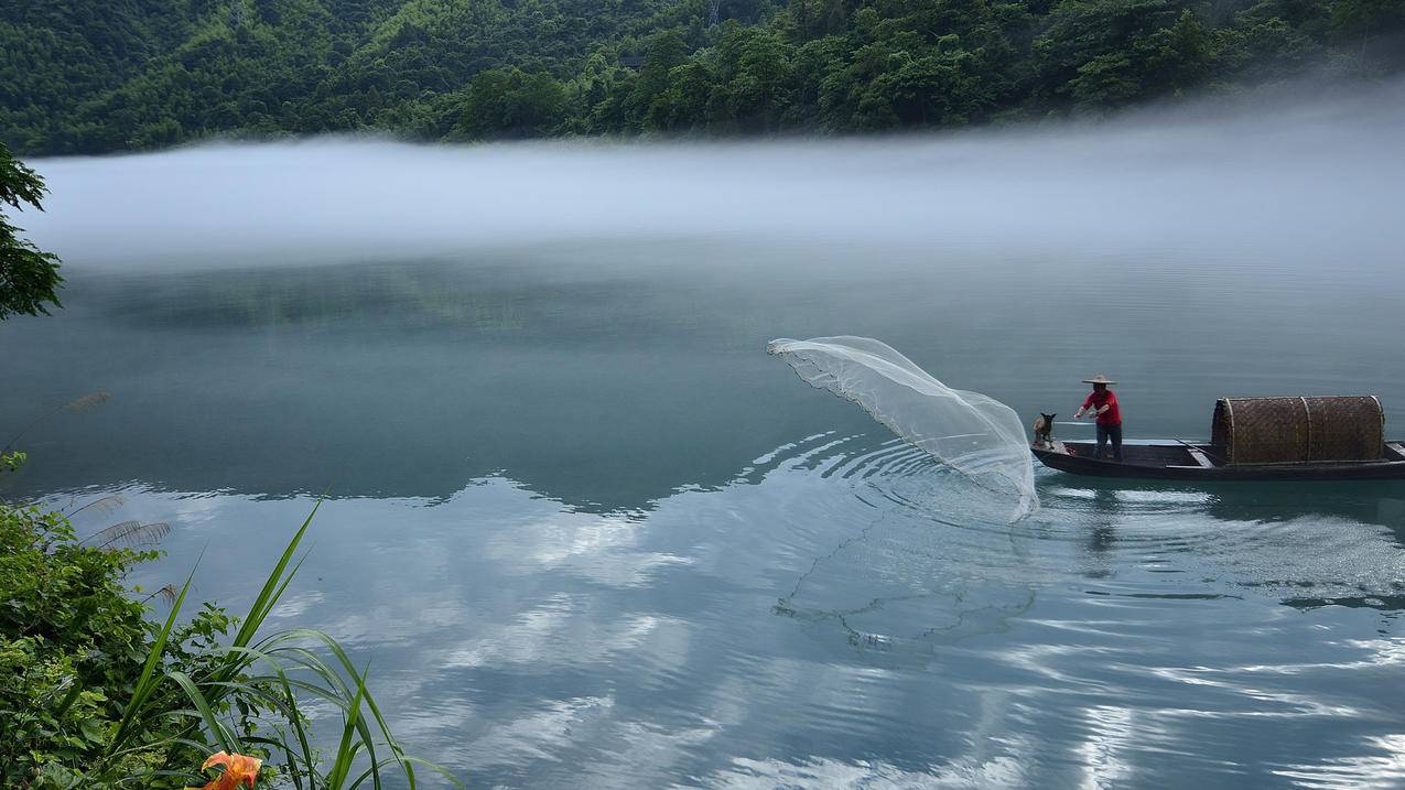 小离代刷,24小时抖